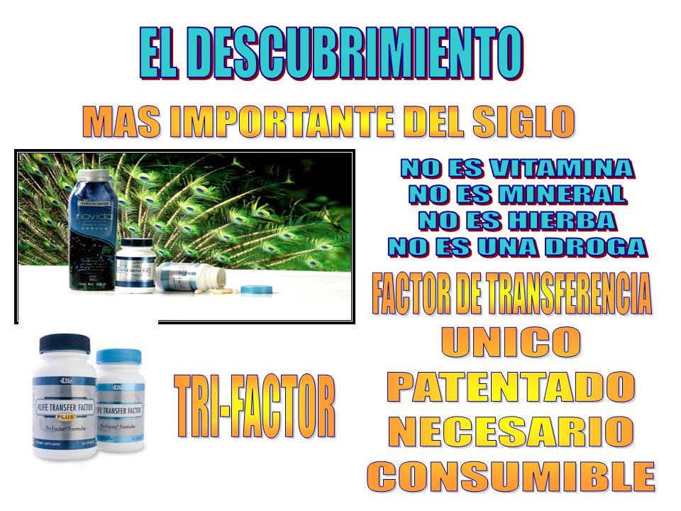 diaposit08.jpg